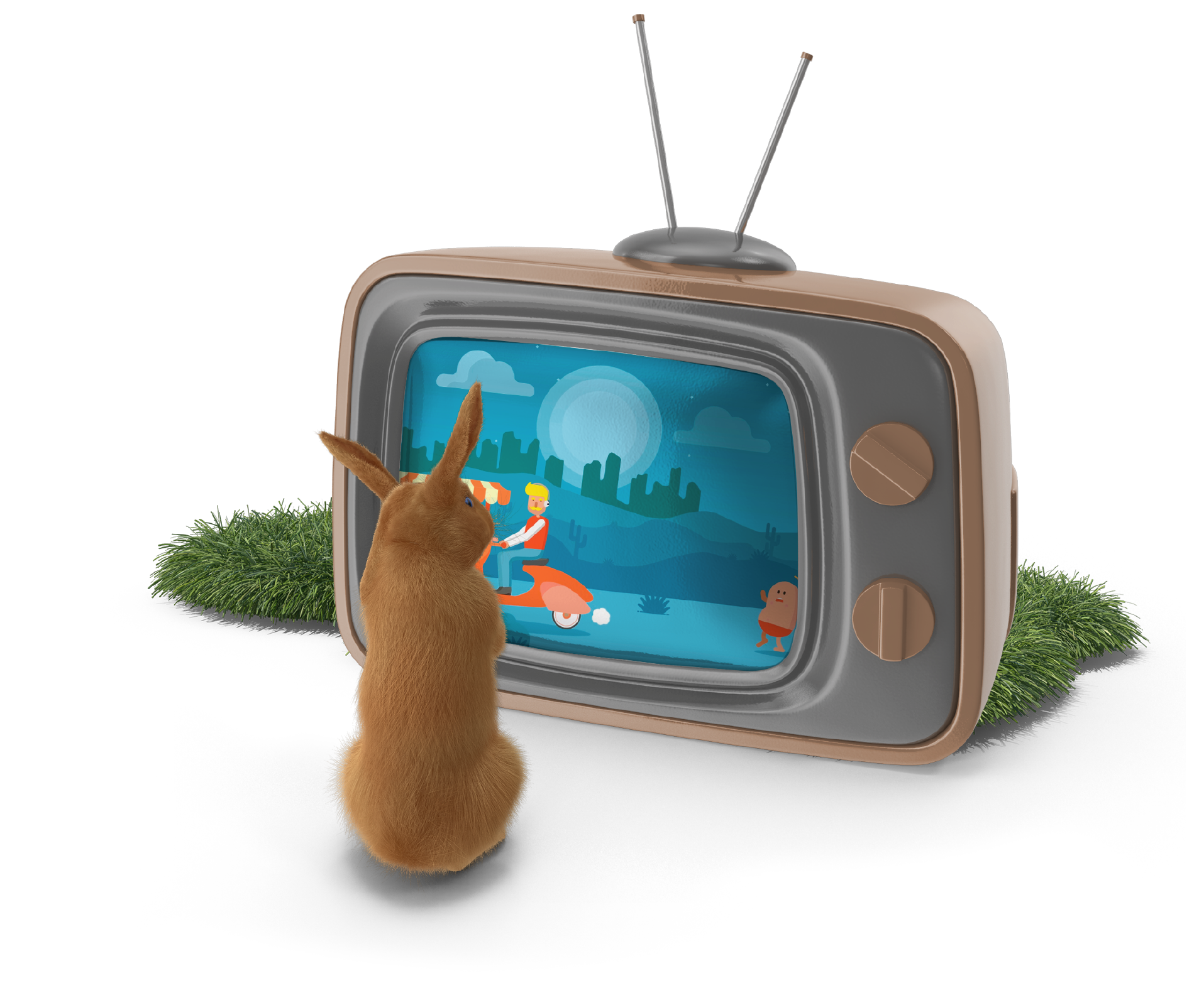 Video & Animatie Video & Animatie