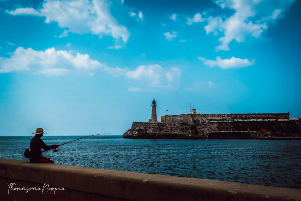 Havana Fisher